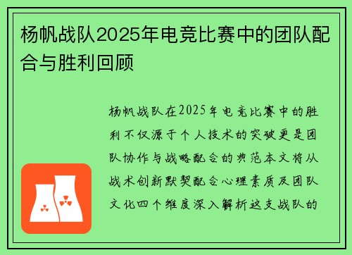 杨帆战队2025年电竞比赛中的团队配合与胜利回顾